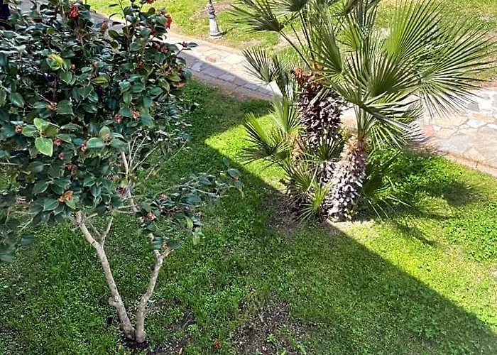 B&B Alba